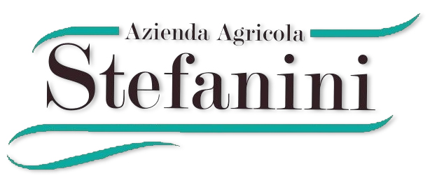 Stefanini_logo