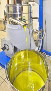 olio-estrazione