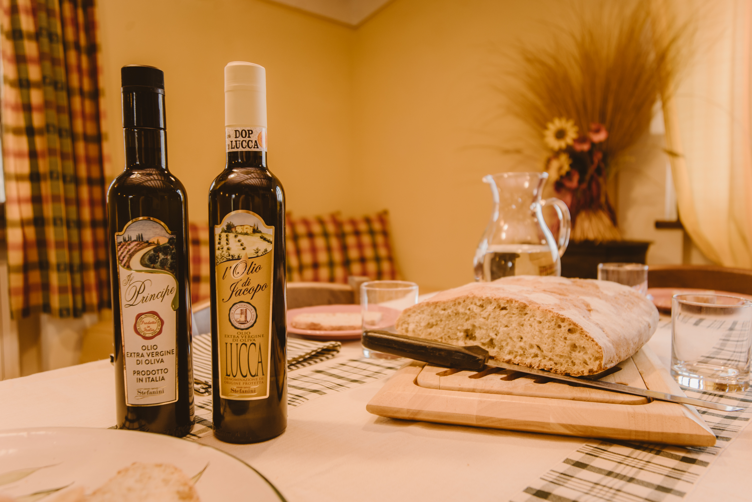 Degustazione di vino Montecarlo DOC e olio extravergine DOP Lucca in cantina