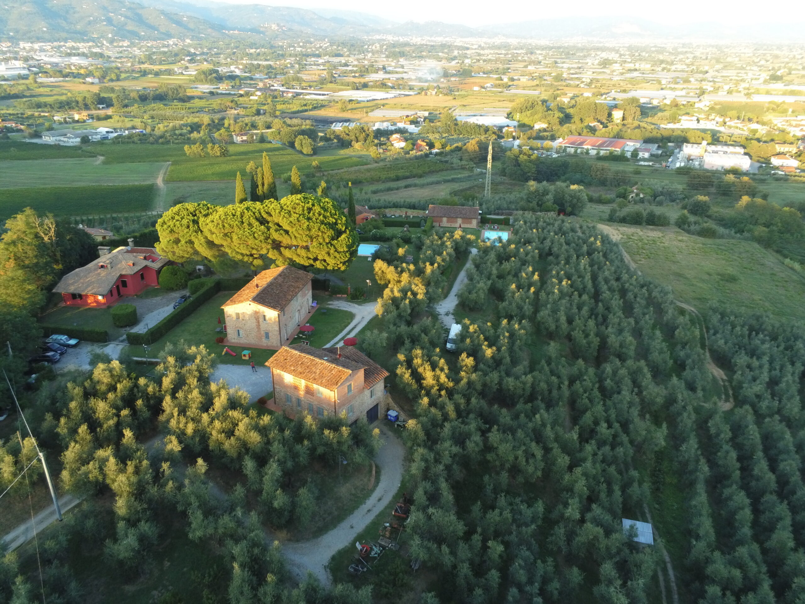The hill town of Montecarlo, near Lucca, ringed by the vineyards of the Wine Road