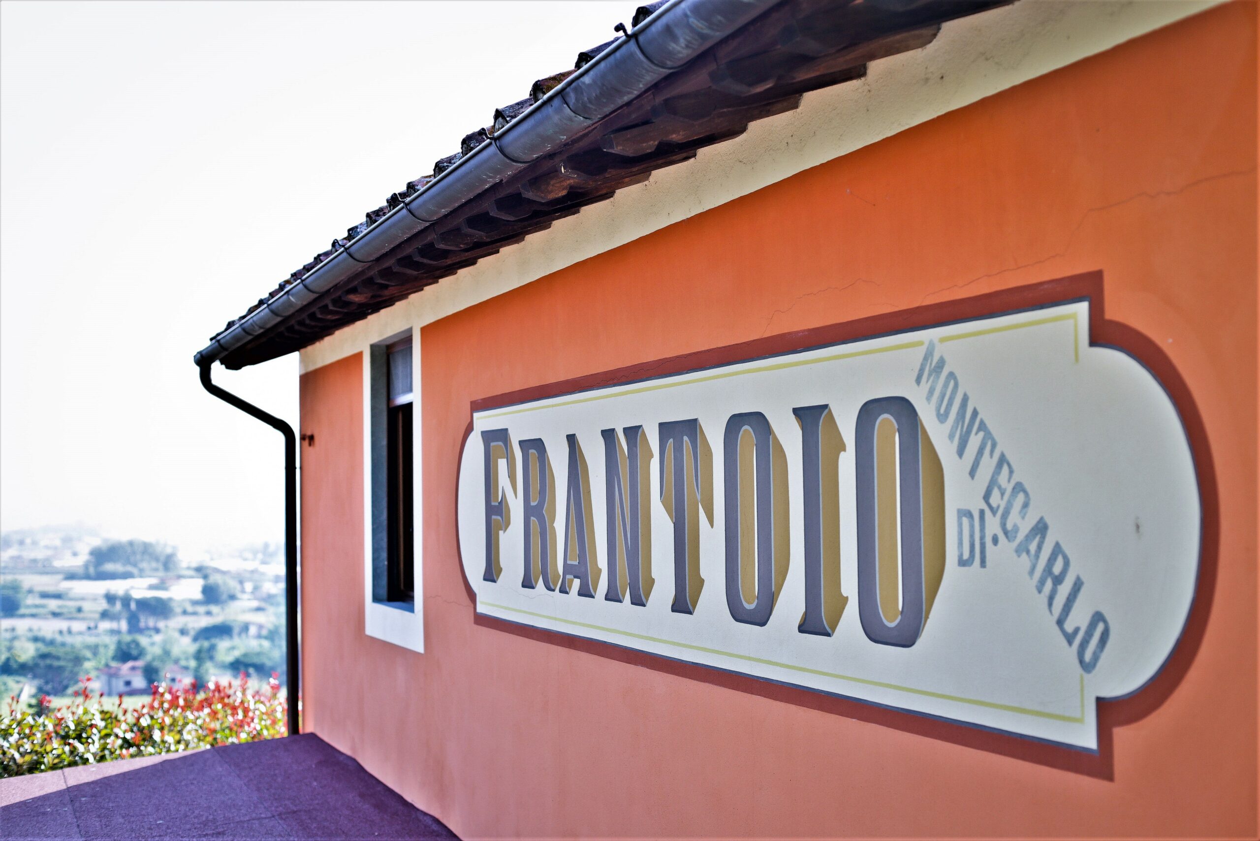 Frantoio olio montecarlo lucca