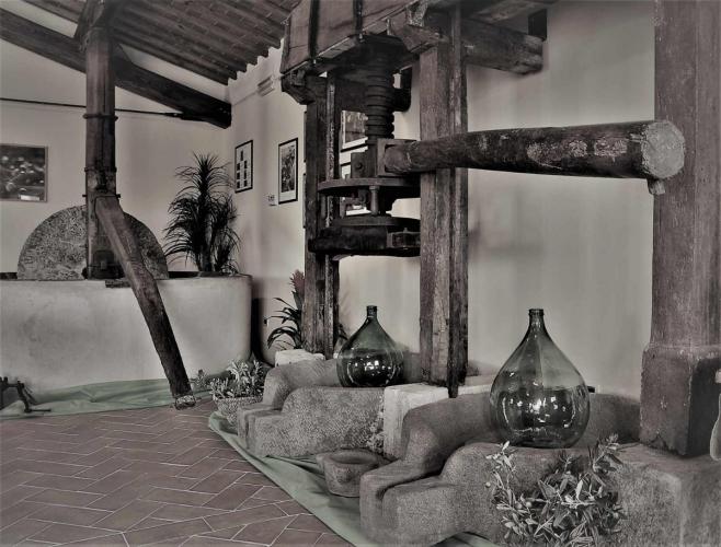 3 - Vecchio Frantoio-r